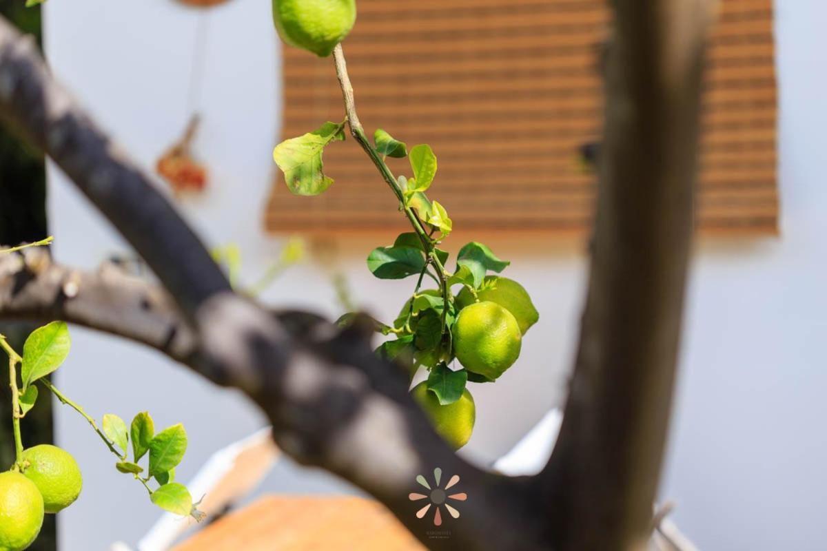 Agriturismo Tenuta Margherita Torre Lapillo Zewnętrze zdjęcie