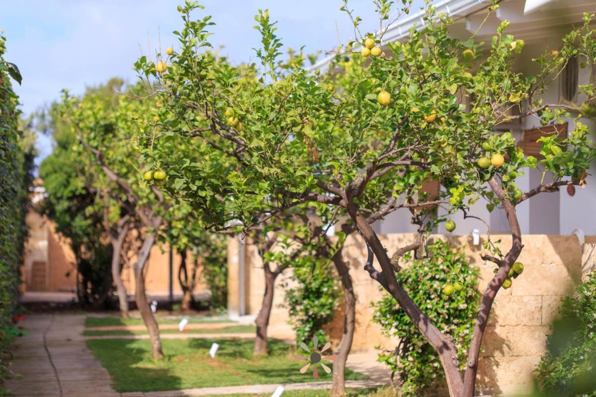 Agriturismo Tenuta Margherita Torre Lapillo Zewnętrze zdjęcie